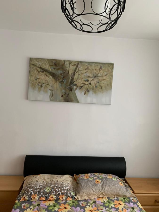 Apartament Carolina Parc อัลบายูเลีย ภายนอก รูปภาพ